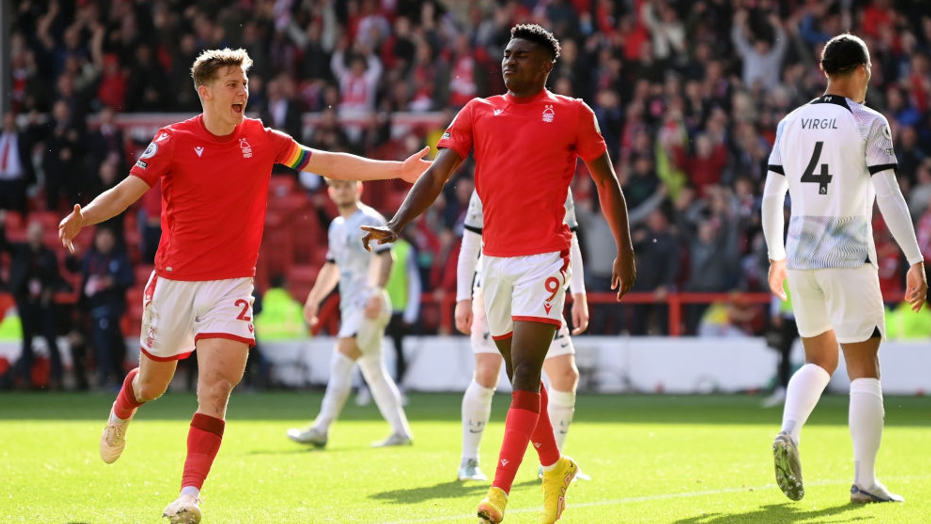 激父母的養 激父母的養